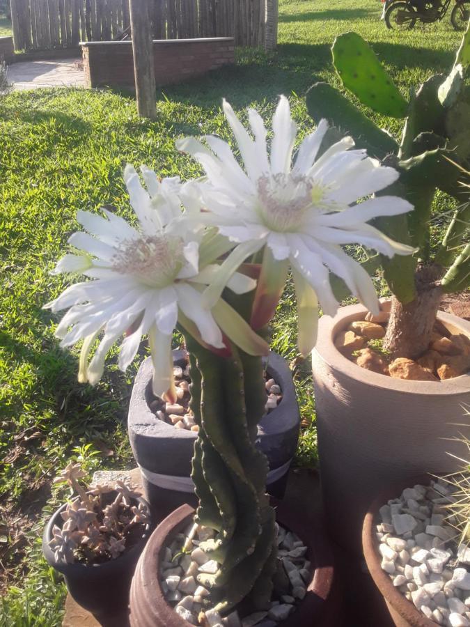 Recanto Das Flores São Tomé das Letras Extérieur photo